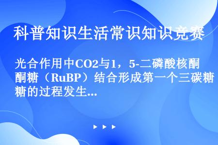 光合作用中CO2与1，5-二磷酸核酮糖（RuBP）结合形成第一个三碳糖的过程发生于（）