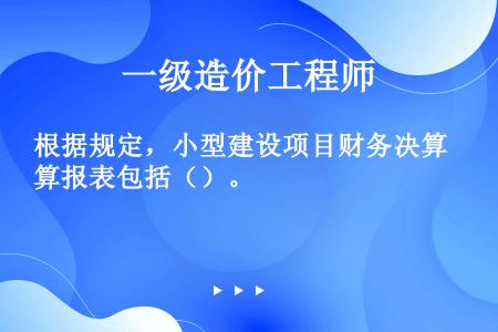 根据规定，小型建设项目财务决算报表包括（）。