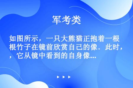 如图所示，一只大熊猫正抱着一根竹子在镜前欣赏自己的像．此时，它从镜中看到的自身像应该是图中的（　　）...