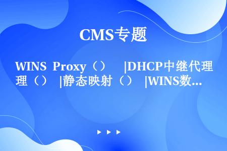 WINS Proxy（）  |DHCP中继代理（） |静态映射（） |WINS数据库复制（） |Ne...