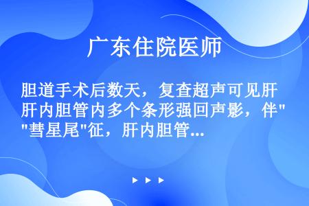 胆道手术后数天，复查超声可见肝内胆管内多个条形强回声影，伴彗星尾征，肝内胆管无扩张。最可能诊断是（）...