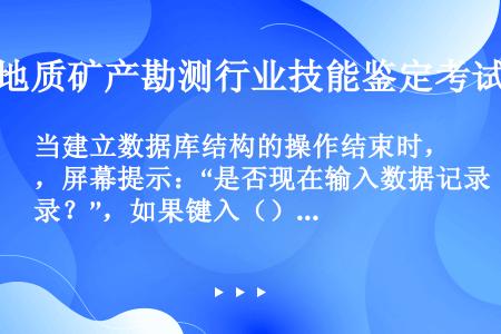 当建立数据库结构的操作结束时，屏幕提示：“是否现在输入数据记录？”，如果键入（）则进入全屏幕输入状态