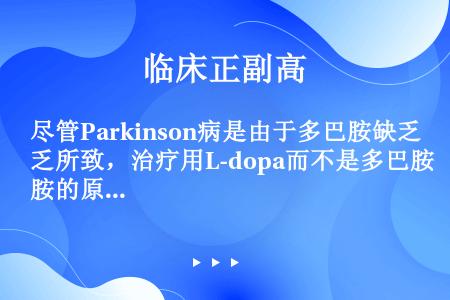 尽管Parkinson病是由于多巴胺缺乏所致，治疗用L-dopa而不是多巴胺的原因是（　）