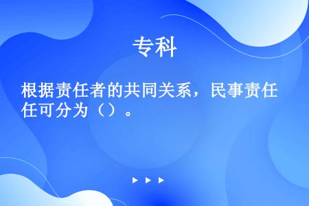 根据责任者的共同关系，民事责任可分为（）。