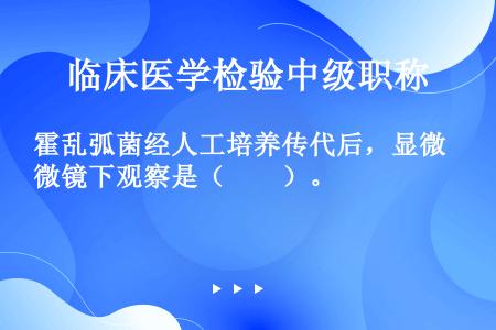 霍乱弧菌经人工培养传代后，显微镜下观察是（　　）。