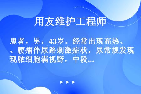 患者，男，43岁。经常出现高热、腰痛伴尿路刺激症状，尿常规发现脓细胞满视野，中段尿培养发现有大肠杆菌...