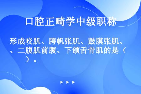 形成咬肌、腭帆张肌、鼓膜张肌、二腹肌前腹、下颌舌骨肌的是（　　）。