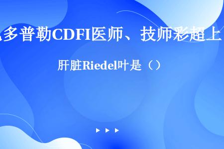 肝脏Riedel叶是（）