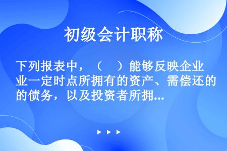 下列报表中，（　）能够反映企业一定时点所拥有的资产、需偿还的债务，以及投资者所拥有的净资产的情况。