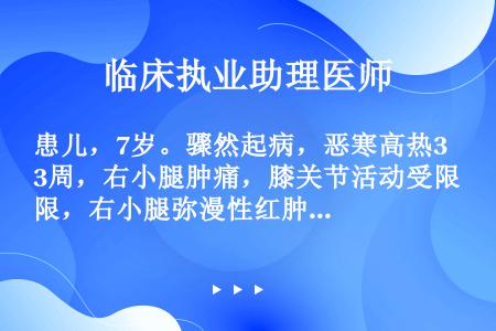 患儿，7岁。骤然起病，恶寒高热3周，右小腿肿痛，膝关节活动受限，右小腿弥漫性红肿，广泛压痛，膝关节积...