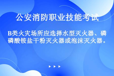 B类火灾场所应选择水型灭火器、磷酸铵盐干粉灭火器或泡沫灭火器。