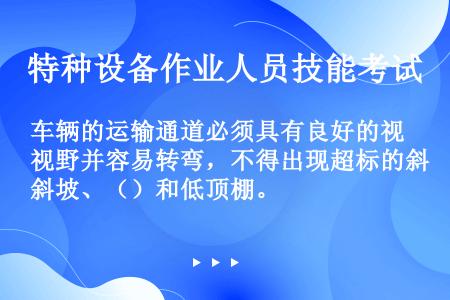 车辆的运输通道必须具有良好的视野并容易转弯，不得出现超标的斜坡、（）和低顶棚。