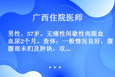 男性，57岁。无痛性间歇性肉眼血尿2个月。查体：一般情况良好，腹部未扪及肿块，双肾区无叩击痛。直肠指...