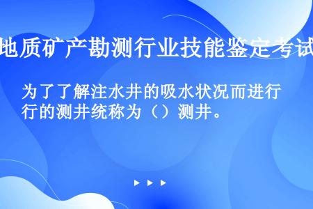 为了了解注水井的吸水状况而进行的测井统称为（）测井。