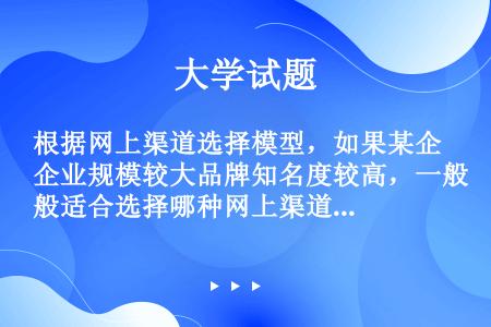 根据网上渠道选择模型，如果某企业规模较大品牌知名度较高，一般适合选择哪种网上渠道？（）