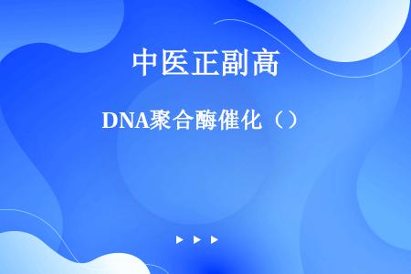 DNA聚合酶催化（）