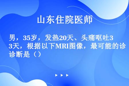 男，35岁，发热20天、头痛呕吐3天，根据以下MRI图像，最可能的诊断是（）