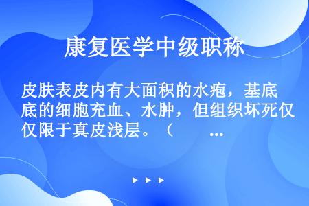 皮肤表皮内有大面积的水疱，基底的细胞充血、水肿，但组织坏死仅限于真皮浅层。（　　）