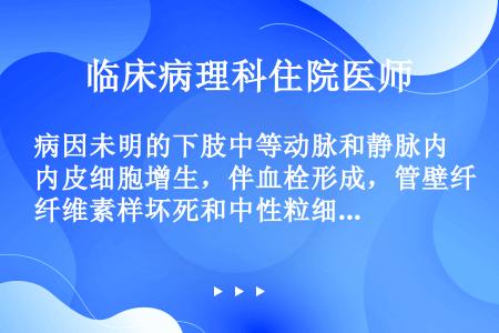 病因未明的下肢中等动脉和静脉内皮细胞增生，伴血栓形成，管壁纤维素样坏死和中性粒细胞、淋巴细胞浸润的血...