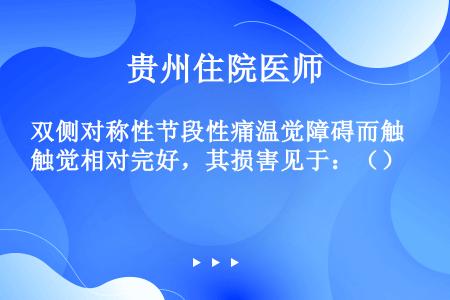 双侧对称性节段性痛温觉障碍而触觉相对完好，其损害见于：（）