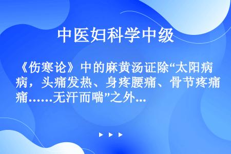 《伤寒论》中的麻黄汤证除“太阳病，头痛发热、身疼腰痛、骨节疼痛……无汗而喘”之外，还应包括（　　）。