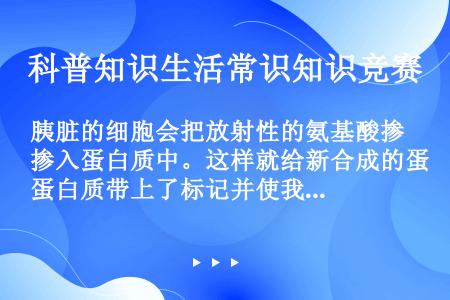 胰脏的细胞会把放射性的氨基酸掺入蛋白质中。这样就给新合成的蛋白质带上了标记并使我们有可能追踪这些蛋白...