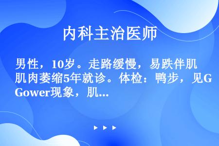 男性，10岁。走路缓慢，易跌伴肌肉萎缩5年就诊。体检：鸭步，见Gower现象，肌肉萎缩显著，腓肠肌饱...