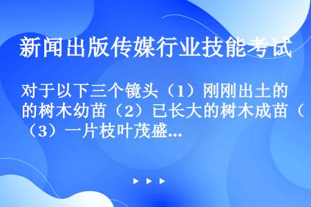 对于以下三个镜头（1）刚刚出土的树木幼苗（2）已长大的树木成苗（3）一片枝叶茂盛的树林，组接更符合事...