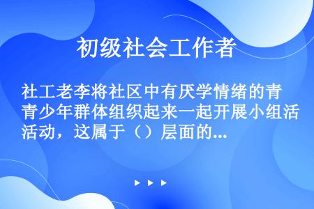 社工老李将社区中有厌学情绪的青少年群体组织起来一起开展小组活动，这属于（）层面的青少年社会工作。