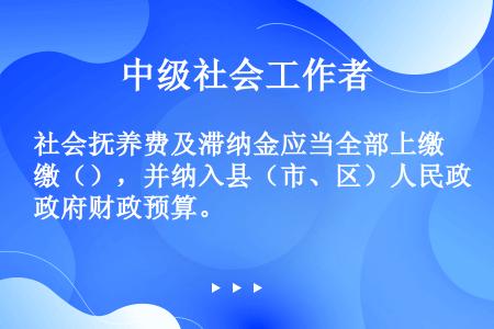 社会抚养费及滞纳金应当全部上缴（），并纳入县（市、区）人民政府财政预算。