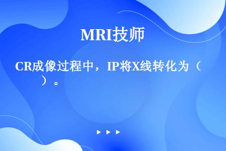 CR成像过程中，IP将X线转化为（　　）。