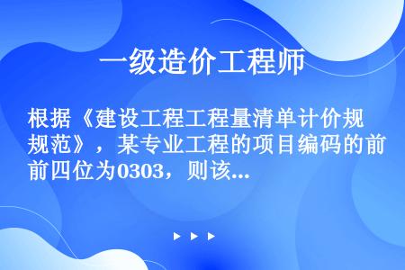 根据《建设工程工程量清单计价规范》，某专业工程的项目编码的前四位为0303，则该专业工程为（）。