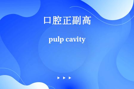 pulp cavity