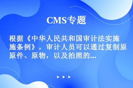 根据《中华人民共和国审计法实施条例》，审计人员可以通过复制原件、原物，以及拍照的方式取得证明材料，但...