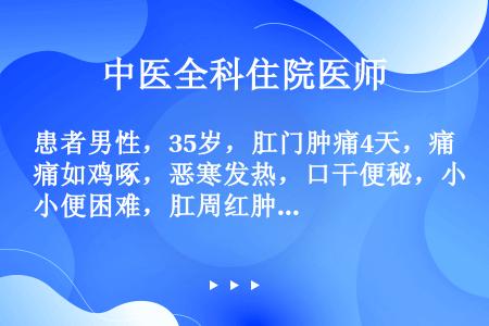 患者男性，35岁，肛门肿痛4天，痛如鸡啄，恶寒发热，口干便秘，小便困难，肛周红肿，按之有波动感，舌红...