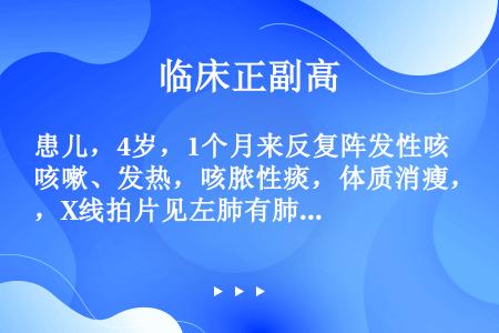 患儿，4岁，1个月来反复阵发性咳嗽、发热，咳脓性痰，体质消瘦，X线拍片见左肺有肺不张。现患儿无明显呼...