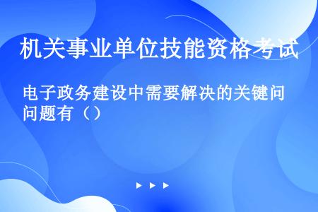 电子政务建设中需要解决的关键问题有（）