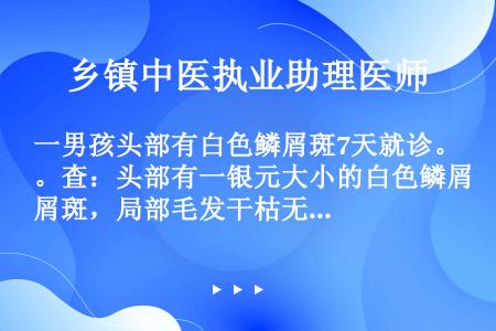 一男孩头部有白色鳞屑斑7天就诊。查：头部有一银元大小的白色鳞屑斑，局部毛发干枯无泽，距头皮0.2～0...