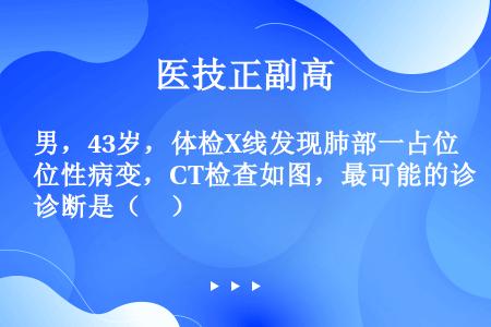 男，43岁，体检X线发现肺部一占位性病变，CT检查如图，最可能的诊断是（　）