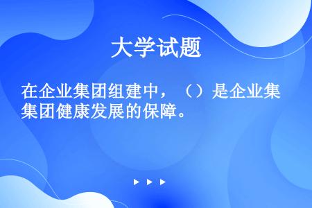 在企业集团组建中，（）是企业集团健康发展的保障。