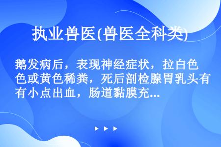 鹅发病后，表现神经症状，拉白色或黄色稀粪，死后剖检腺胃乳头有小点出血，肠道黏膜充血出血，有的有枣核样...