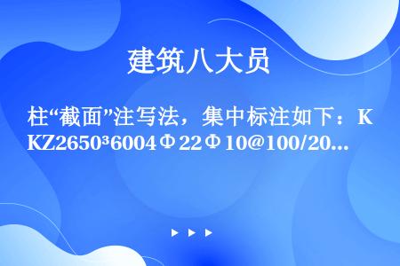 柱“截面”注写法，集中标注如下：KZ2650³6004Φ22Φ10@100/200以上注写的信息有（...