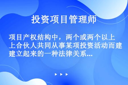 项目产权结构中，两个或两个以上合伙人共同从事某项投资活动而建立起来的一种法律关系是（）。