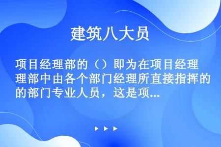 项目经理部的（）即为在项目经理部中由各个部门经理所直接指挥的部门专业人员，这是项目的底层管理者。