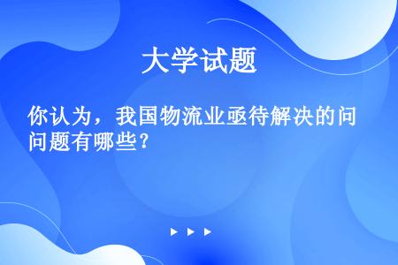 你认为，我国物流业亟待解决的问题有哪些？