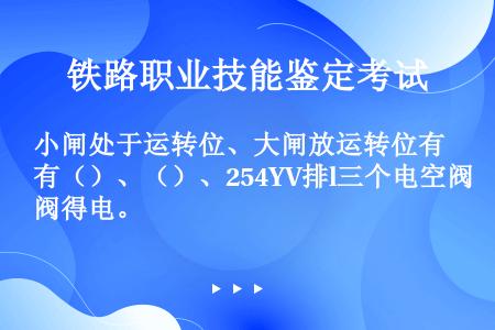 小闸处于运转位、大闸放运转位有（）、（）、254YV排l三个电空阀得电。