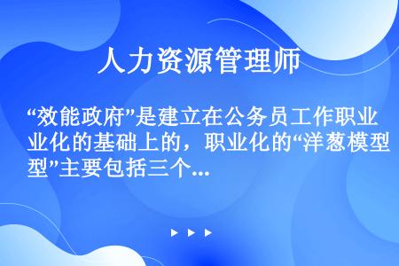 “效能政府”是建立在公务员工作职业化的基础上的，职业化的“洋葱模型”主要包括三个层面，下列不属于“洋...