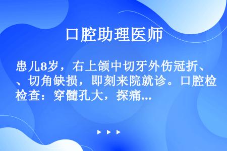 患儿8岁，右上颌中切牙外伤冠折、切角缺损，即刻来院就诊。口腔检查：穿髓孔大，探痛明显，可疑叩痛。X线...