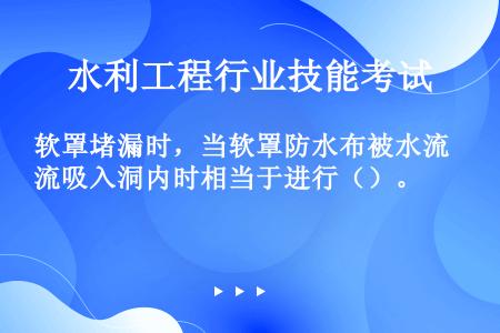 软罩堵漏时，当软罩防水布被水流吸入洞内时相当于进行（）。