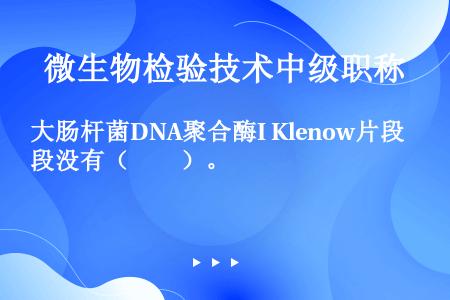 大肠杆菌DNA聚合酶I Klenow片段没有（　　）。